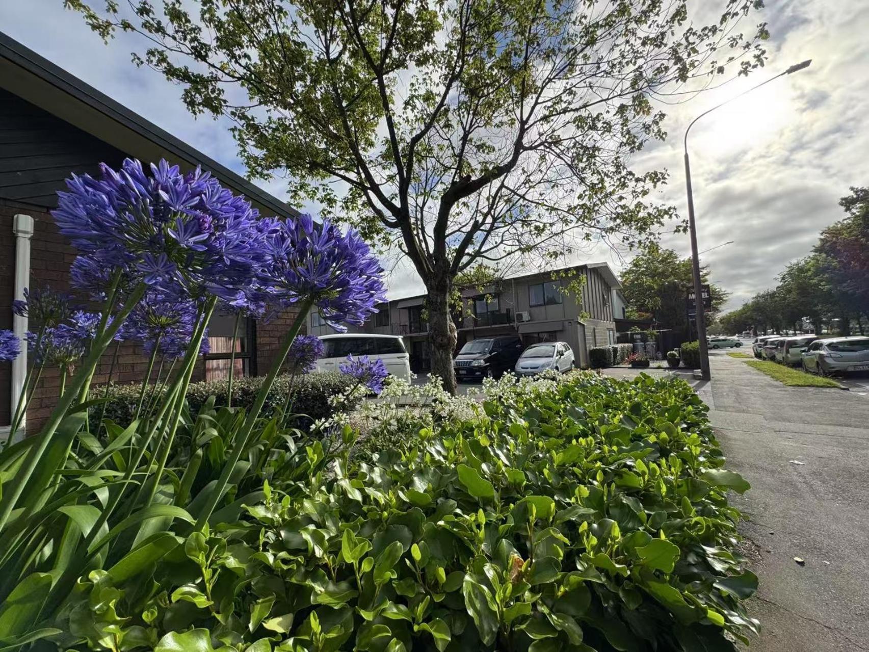 Abbey Motor Lodge Christchurch Exterior foto